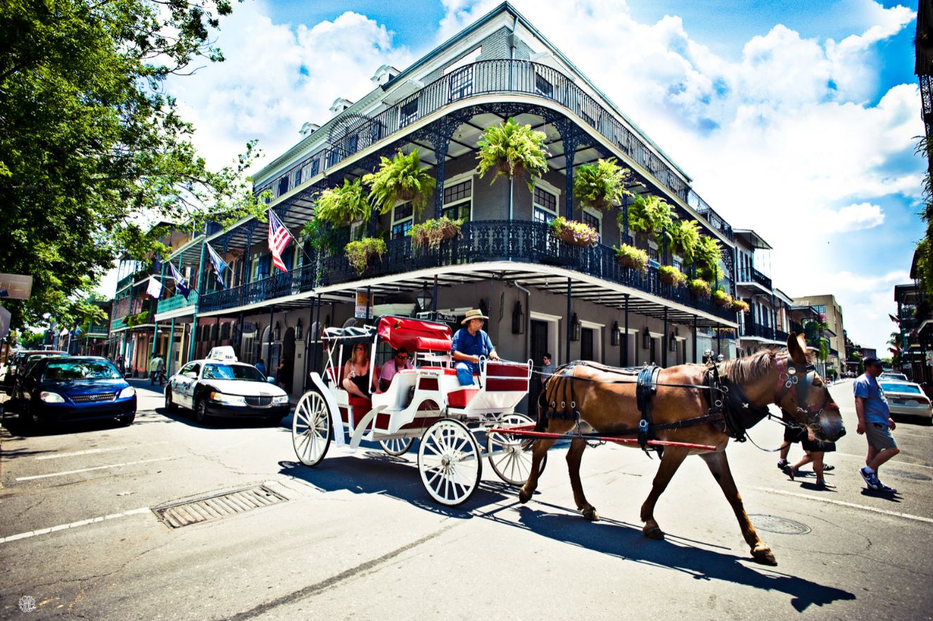 Family activities in New Orleans
